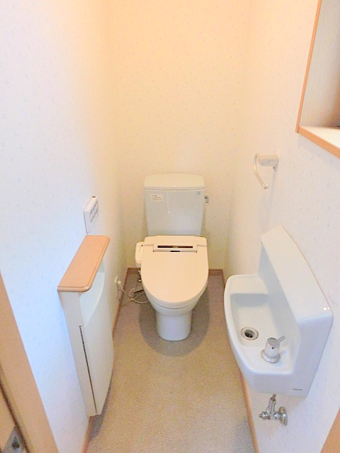 Toilet. Toilet