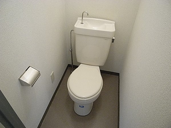 Toilet. Toilet