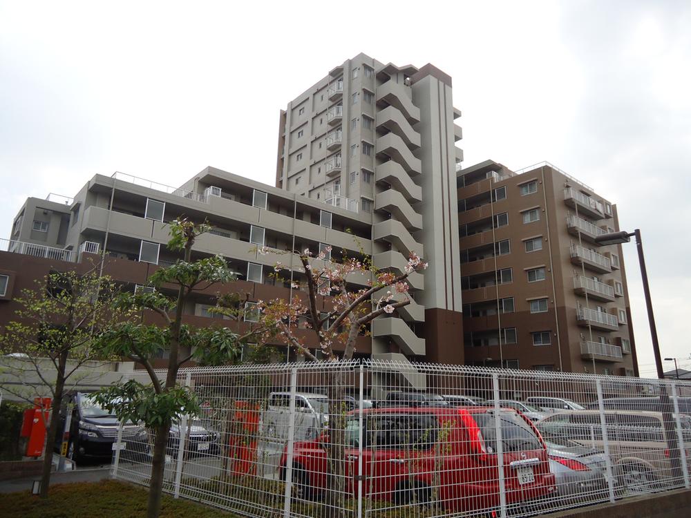 Local appearance photo. Local (12 May 2013) Shooting