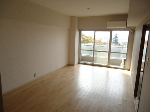 Living and room. Living-dining