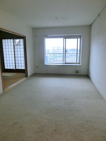 Living and room. Living Room (pre-cleaning)