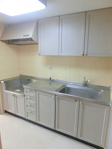 Kitchen. Kitchen (before cleaning)