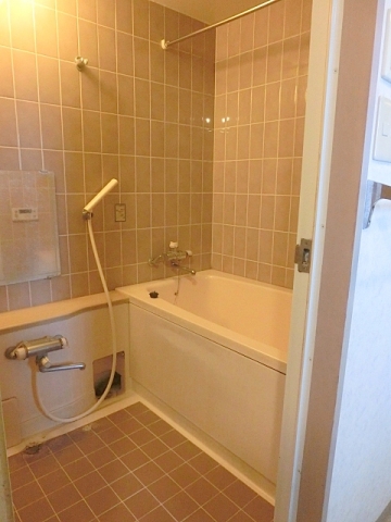 Bath. Bathroom (pre-cleaning)