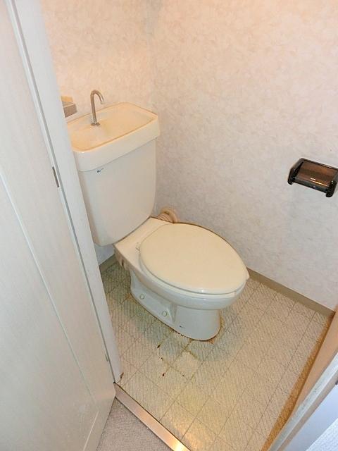 Toilet. Toilet (before cleaning)