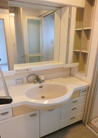 Washroom. Separate vanity