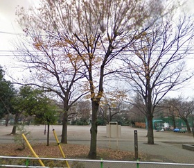 Other. Narimasu Kitadai 595m to one park (Other)