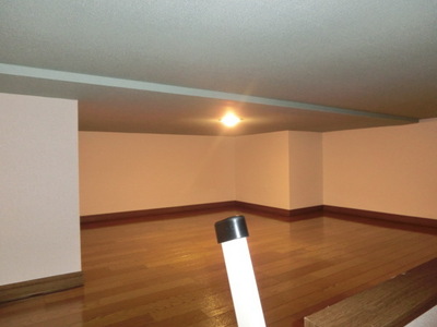 Other room space. Loft that can be used for storage