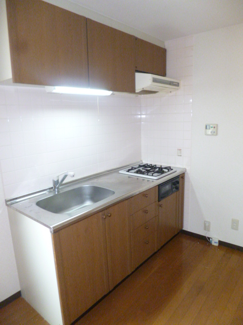 Kitchen. System kitchen (with grill)