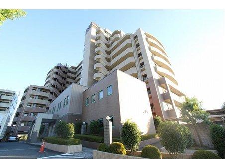 Local appearance photo. Local (September 2013) Shooting