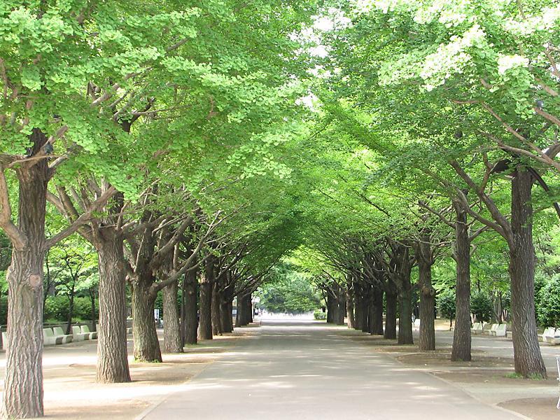 park. 390m until Hikarigaoka park
