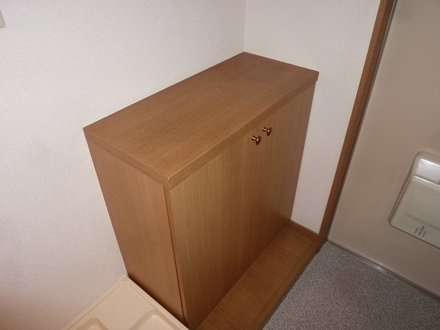 Receipt. Entrance shoe box