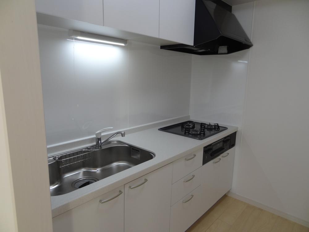 Kitchen. Indoor (11 May 2013) Shooting