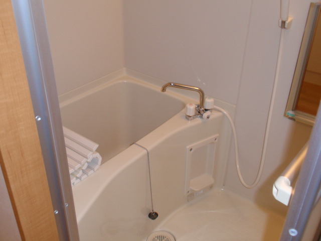 Bath. Same apartment another room