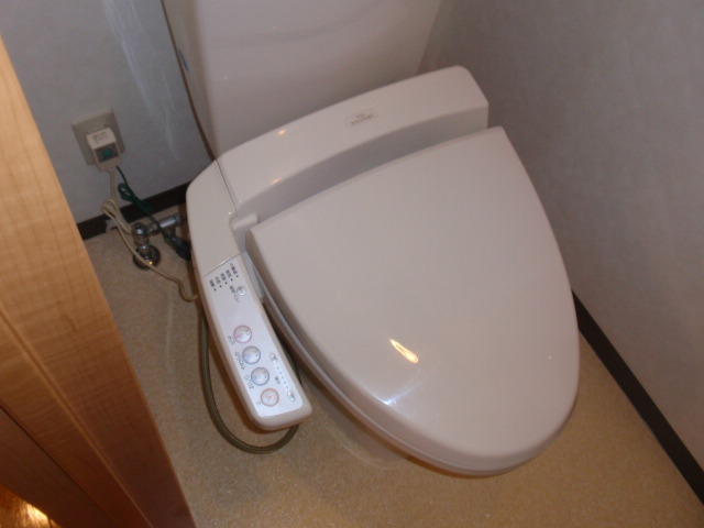 Toilet. Same apartment another room