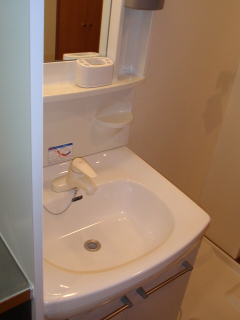 Washroom. Same apartment another room