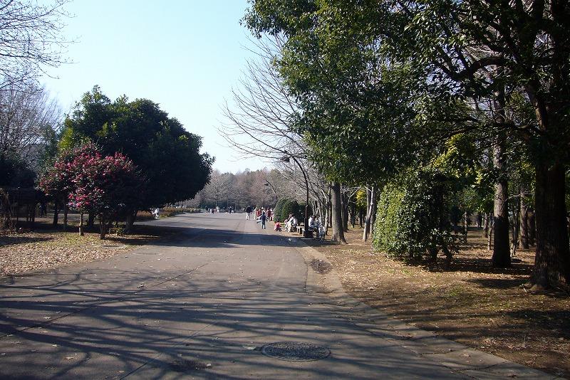 park. 1000m to Hikarigaoka park