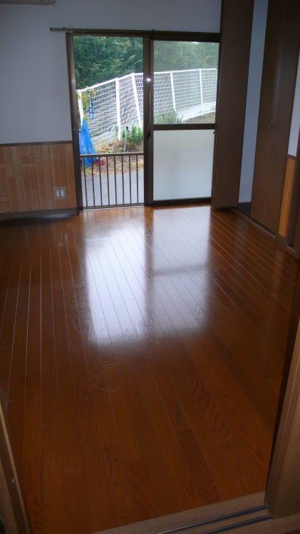 Living and room. Living