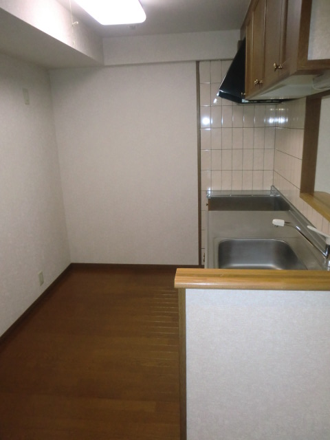 Kitchen. Kitchen space of spread