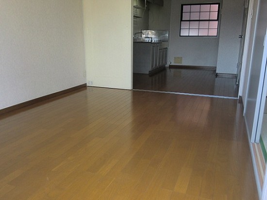 Living and room. Living