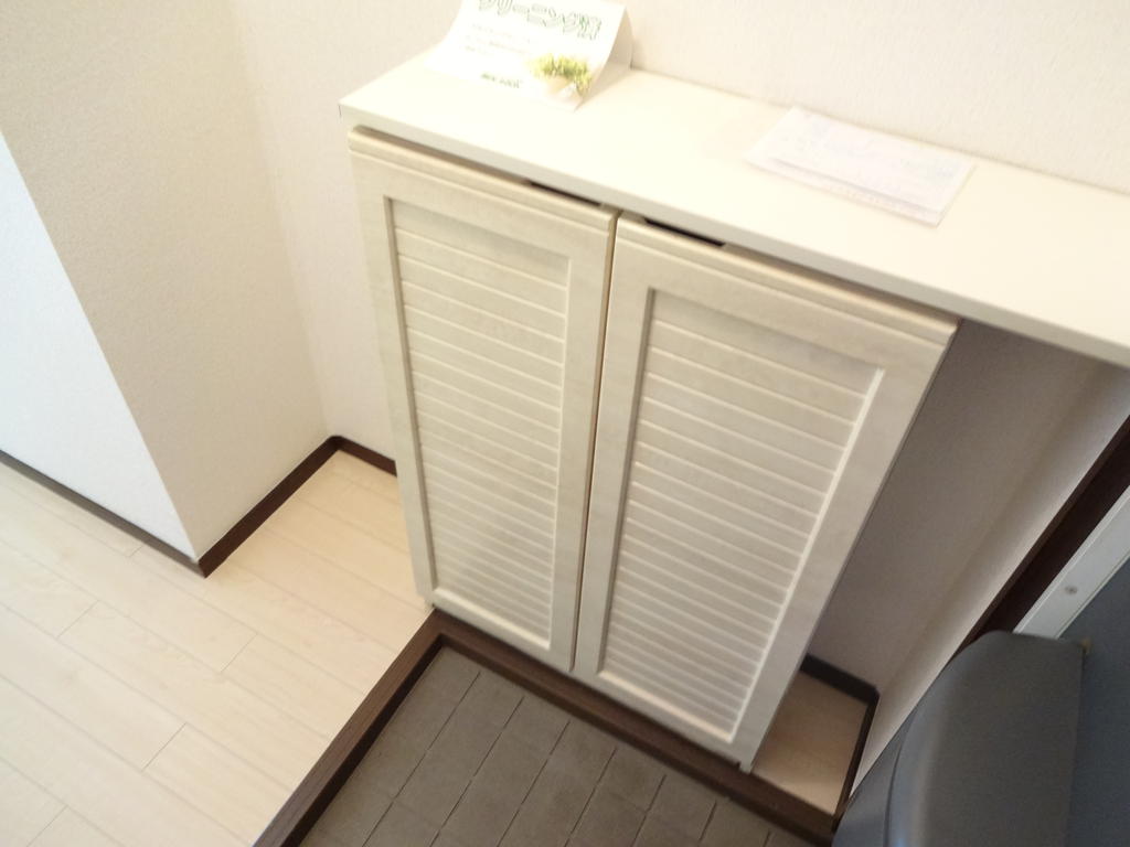 Entrance. It puts also pretty front door shoe storage umbrella stand