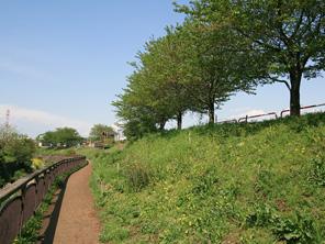 Direct 13 minutes to "Ikebukuro" from "Wako-shi" station, "Sanchome" to direct-dial 23 minutes, Speedy and to the city from the main station, You can access the direct. Without a transfer can be accessed, Commute, of course, It is that you can experience the convenience even in such as holiday outing. By Tokyo Metro Fukutoshin line and Tokyu Toyoko Line was driving into each other in March 2013, Yokohama and Motomachi ・ You can now direct access also to the Chinatown district. Business, of course, Such as leisure and shopping, More and more convenient. In nimble access environment, It is likely to spread action range. Also, While in this way the city center to the familiar, It is a place to feel the rich natural, It is the charm of the local. Parenting generation of family, To engage in leisurely calm living, It is very likely to be the perfect house.  ※ From Wako-shi Station, Direct in Tojo Line express use Tobu to Ikebukuro. Yurakucho, Ginza chome to (42 minutes) is direct in use Tokyo Metro Yurakucho Line. Shibuya, Sanchome, Yokohama, Motomachi ・ To Chinatown, Tokyo Metro Fukutoshin line express use (Toyoko Line limited express ・ Direct by express Minato Mirai line driving into).  