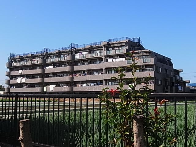 Local appearance photo. Local (10 May 2013) Shooting