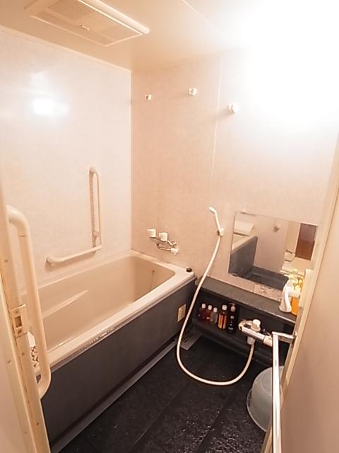 Bathroom. Indoor (10 May 2013) Shooting