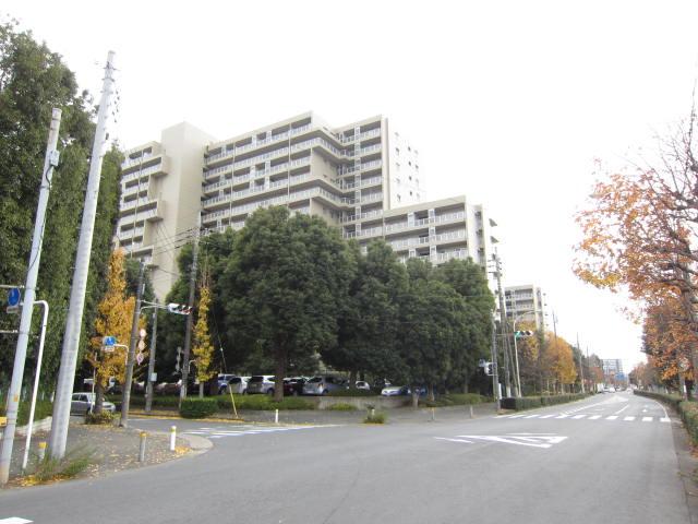 Local appearance photo. Local (12 May 2013) Shooting