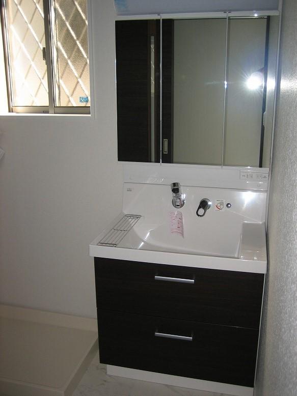 Wash basin, toilet. Vanity with shower