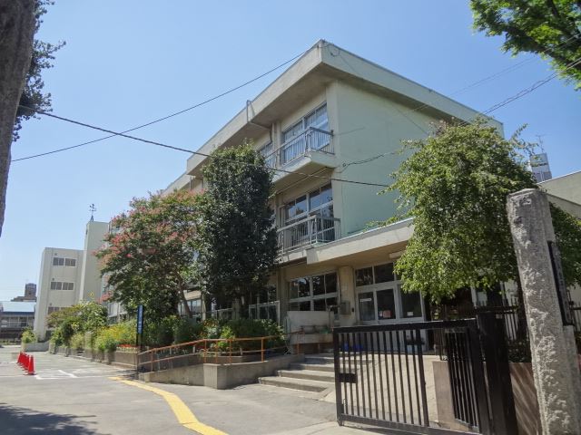 Primary school. 1200m until the Municipal albino elementary school (elementary school)
