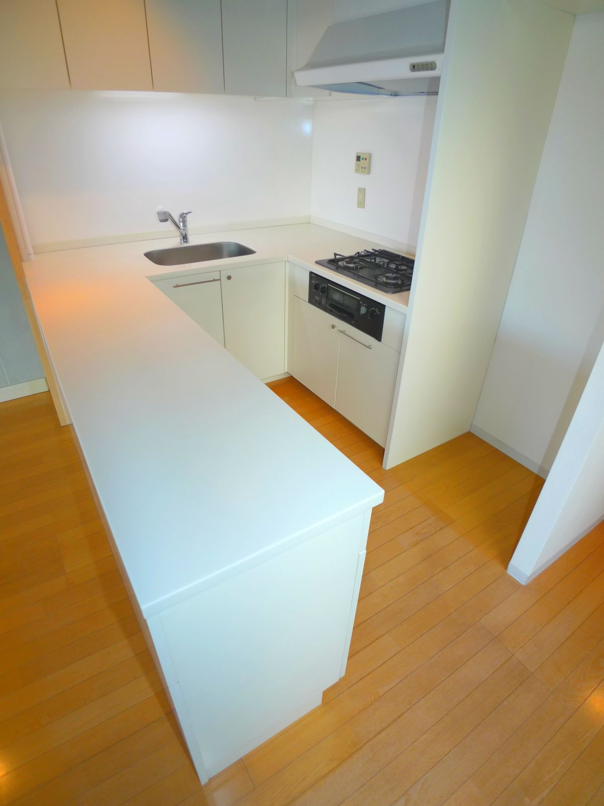 Kitchen. U-shaped kitchen