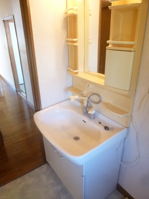 Washroom. Shower Dresser