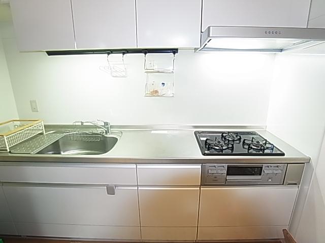 Kitchen. Indoor (10 May 2013) Shooting