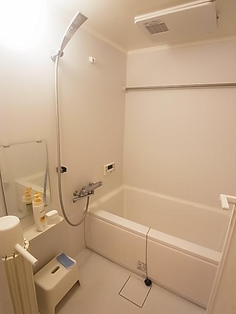 Bathroom. Indoor (10 May 2013) Shooting