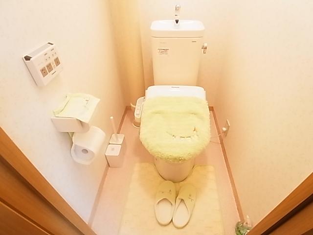 Toilet. Indoor (10 May 2013) Shooting