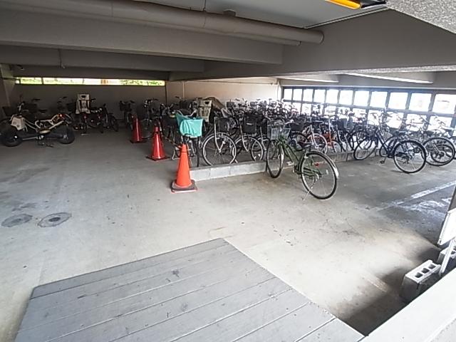 Parking lot. Common areas