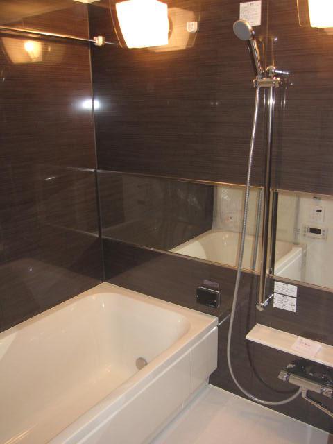 Bathroom. Indoor (11 May 2013) Shooting