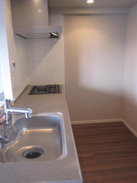 Kitchen. Indoor (11 May 2013) Shooting