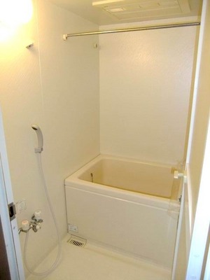 Bath. Bathroom with a bathroom dryer (Reheating Allowed)