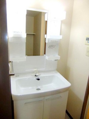 Washroom. Bathroom vanity