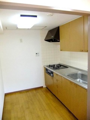 Kitchen. 3-burner stove in the kitchen