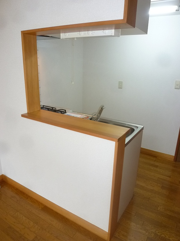 Kitchen. Face-to-face kitchen