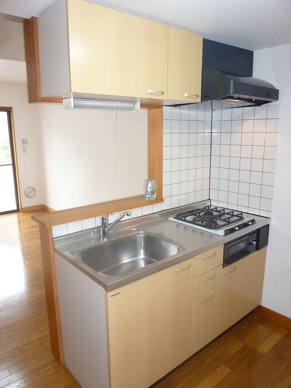 Kitchen. Gas two-burner system kitchen with grill