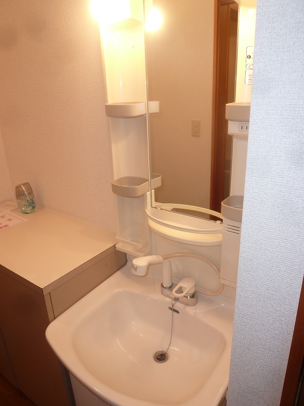 Washroom. Shower Dresser