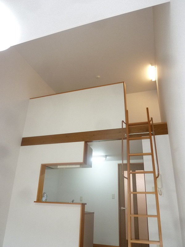 Other room space. Loft ceiling