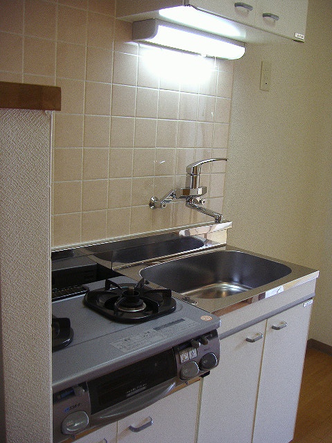 Kitchen. Gas stove installation Allowed (photo image)