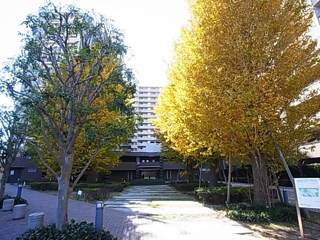 Entrance. Common areas