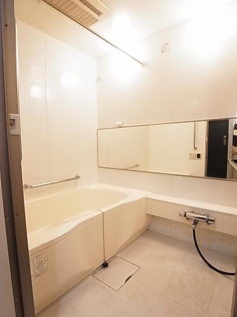 Bathroom. Indoor (12 May 2013) Shooting