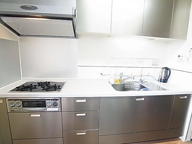 Kitchen. Indoor (12 May 2013) Shooting