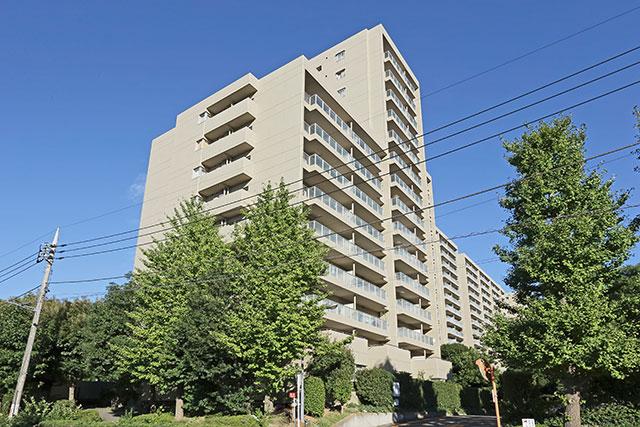 Local appearance photo. Local (10 May 2013) Shooting